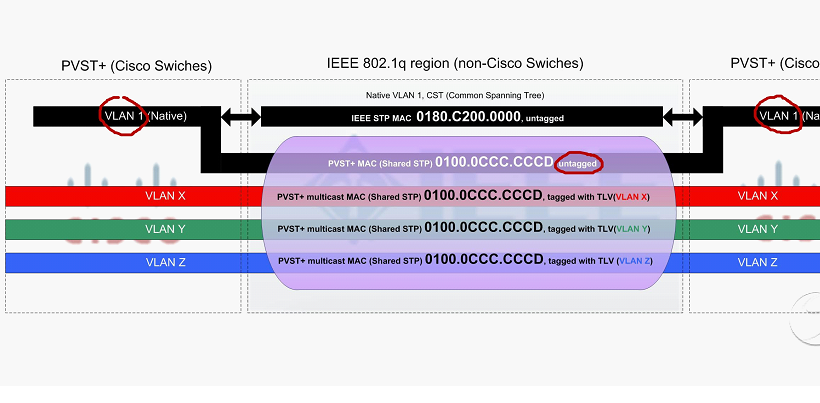 pvst+ native vlan is vlan 1