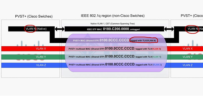 PVST+ native VLAN is different from VLAN 1